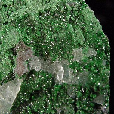 Uvarovite Garnet from Saranovskoye Mine, Sarany, Permskaya Oblast', Ural Mountains, Russia (Type Locality for Uvarovite)