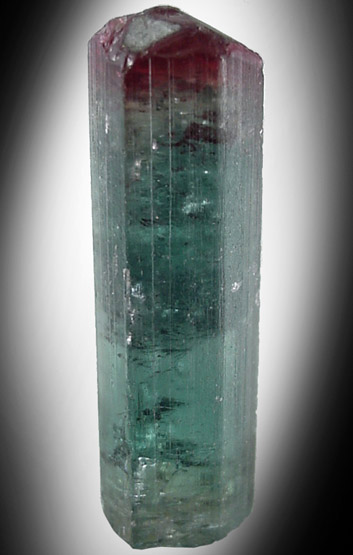 Elbaite Tourmaline from Goveneur Valadares, Minas Gerais, Brazil