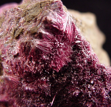 Erythrite from Arhbar Mine, Bou-Azzer, Morocco