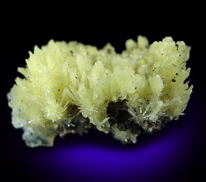 Novacekite, Gypsum, Calcite from Las Animas Mine, Aquiles Serdán, Chihuahua, Mexico