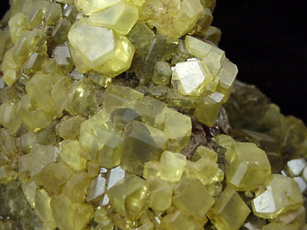 Sulfur with Bitumin from Mina La Bernardi, Romagna, Italy