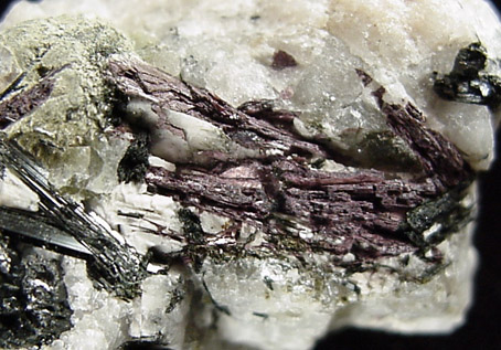 Murmanite with Aegirine from Lovozero Massif, Kola Peninsula, Murmanskaja Oblast', Northern Region, Russia (Type Locality for Murmanite)