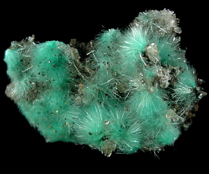 Aurichalcite from 79 Mine, Banner District, near Hayden, Gila County, Arizona