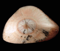 Thomsonite (Eye Formation) from Keweenaw County, Michigan