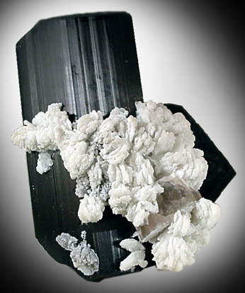 Schorl Tourmaline with Albite from Bulochi, near Shengus, Skardu Road, Gilgit, Pakistan