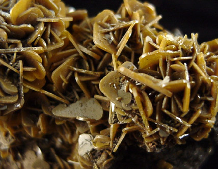 Wulfenite from Glove Mine, Amado, Santa Cruz County, Arizona