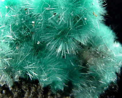 Aurichalcite from 79 Mine, Banner District, near Hayden, Gila County, Arizona