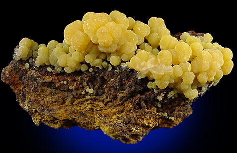 Mimetite from San Pedro Mine, San Pedro Corralitos, Chihuahua, Mexico