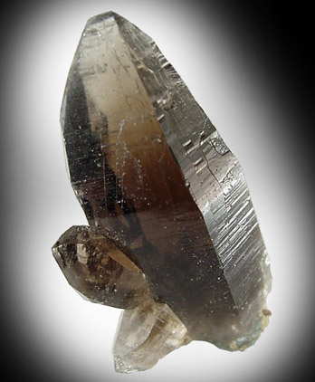 Quartz var. Tessin-habit from Becker Quarry, West Willington, Tolland County, Connecticut