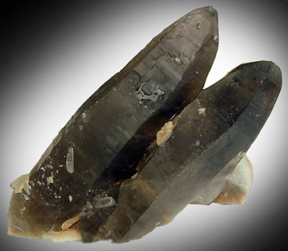 Quartz var. Smoky Quartz with Microcline from Crystal Peak area, 6.5 km northeast of Lake George, Park-Teller Counties, Colorado