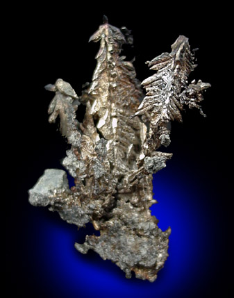 Silver from La Nevada Mine, Batopilas, Andres del Rio district, Chihuahua, Mexico