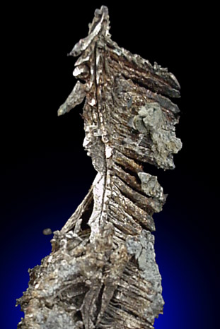 Silver from La Nevada Mine, Batopilas, Andres del Rio district, Chihuahua, Mexico