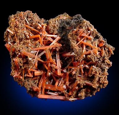 Crocoite from Dundas, Tasmania, Australia