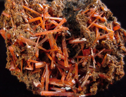 Crocoite from Dundas, Tasmania, Australia