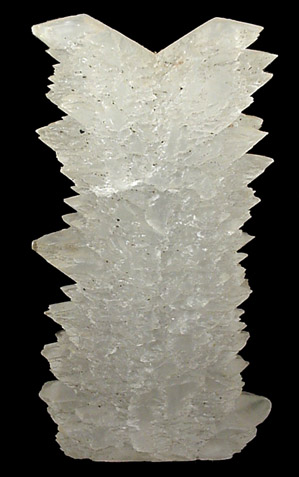 Gypsum var. Selenite Fish-tail Twin from Ocampo, Coahuila, Mexico