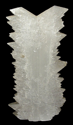 Gypsum var. Selenite Fish-tail Twin from Ocampo, Coahuila, Mexico