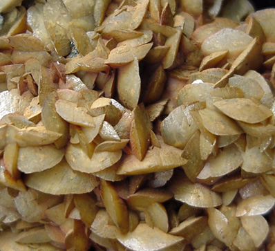 Siderite on Galena from Silverton Mining District, San Juan County, Colorado