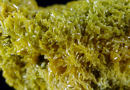 Pyromorphite from Bunker Hill Mine, Kellogg, Shoshone County, Idaho