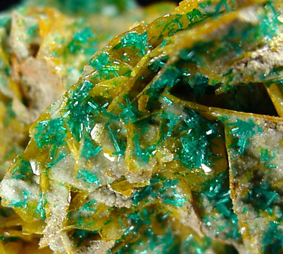 Dioptase on Wulfenite from Mammoth-St. Anthony Mine, Tiger, Pinal County, Arizona