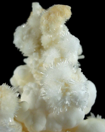 Aragonite Stalactite from Chihuahua, Mexico