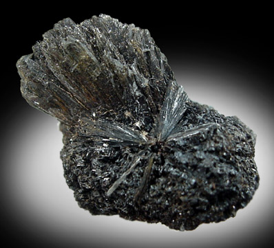 Goethite from Lake George District, Park County, Colorado