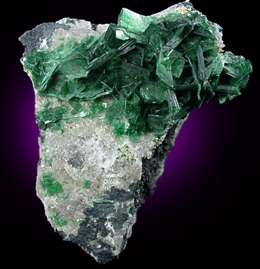 Torbernite from Shinkolobwe Mine, 22 km WSW of Likasi, Katanga Copperbelt, Haut-Katanga Province, Democratic Republic of the Congo