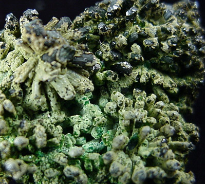 Chrysocolla pseudomorphs after Hemimorphite from 79 Mine, Banner District, near Hayden, Gila County, Arizona