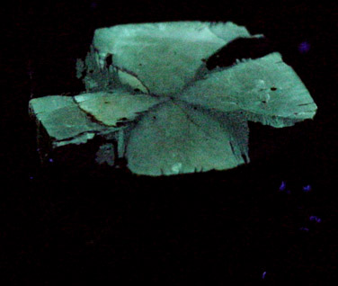 Andalusite var. Chiastolite from Hunan Province, China