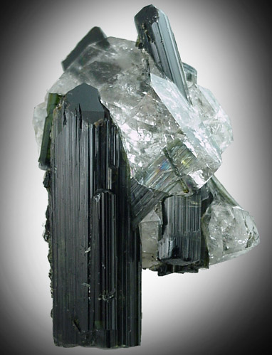 Elbaite Tourmaline with Quartz from Minas Gerais, Brazil