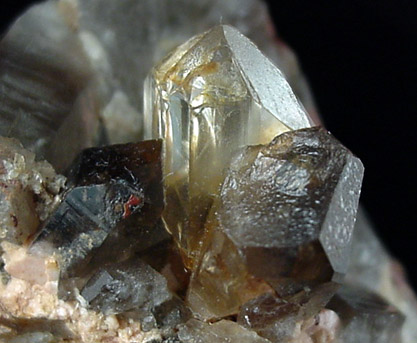 Topaz on Smoky Quartz from Pikes Peak District, El Paso County, Colorado