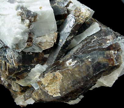 Phlogopite in Calcite from Chelate Quarry, Franklin, Sussex County, New Jersey