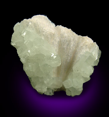 Prehnite on Pectolite from Upper New Street Quarry, Paterson, Passaic County, New Jersey