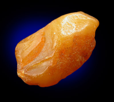 Amber from Baltic Sea, near Gdansk, Poland