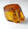 Amber from Baltic Sea, near Gdansk, Poland