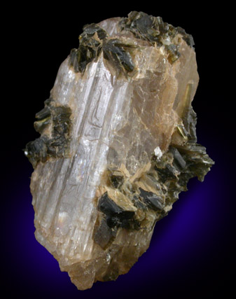 Meionite from Gooderham, Ontario, Canada