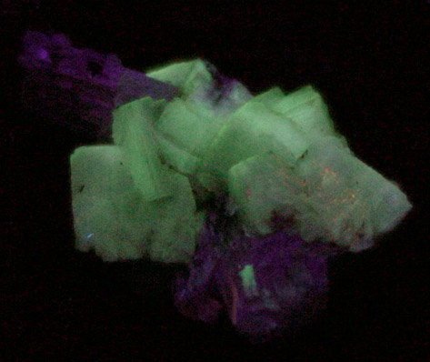 Apophyllite on Pectolite from Mont Saint-Hilaire, Qubec, Canada