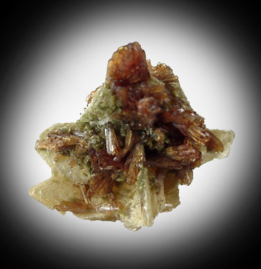 Eosphorite on Muscovite from Lavra da Ilha, Taquaral, Jequitinhonha River, Minas Gerais, Brazil