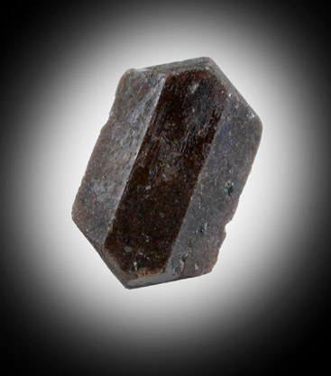 Lorenzenite from Lovozero Massif, Kola Peninsula, Murmanskaja Oblast', Northern Region, Russia