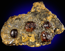 Spessartine Garnet from Timm's Hill, Haddam, Connecticut