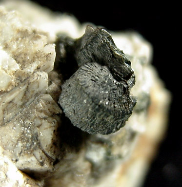 Clinochlore from Old Mine Park, Mine Hill, Trumbull, Fairfield County, Connecticut