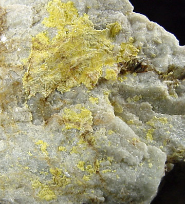 Uranophane from Allen Mica Mine, Alstead, New Hampshire