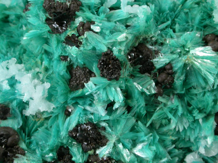 Aurichalcite from Mina Ojuela, Mapimi, Durango, Mexico