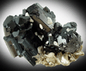 Schorl Tourmaline with Muscovite and Fluorapatite from Basha Nala, Shigar Valley, Skardu District, Baltistan, Gilgit-Baltistan, Pakistan