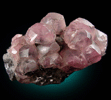 Smithsonite var. cobaltian from Tsumeb Mine, Otavi-Bergland District, Oshikoto, Namibia