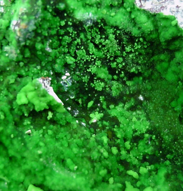 Conichalcite from Gold Hill Mine, Toole County, Utah