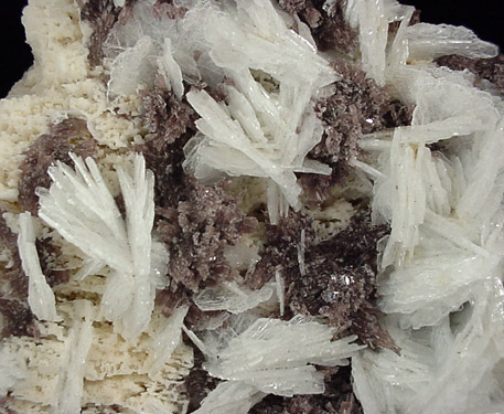 Albite and Lepidolite from Pederniera Mine, Sao Jose da Safira, Minas Gerais, Brazil