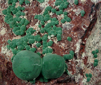 Malachite from Morenci Mine, Clifton District, Greenlee County, Arizona