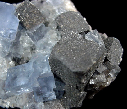 Galena on Fluorite from Hansonburg District, 8.5 km south of Bingham, Socorro County, New Mexico