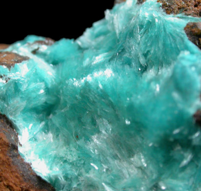 Aurichalcite from Mapimi District, Durango, Mexico