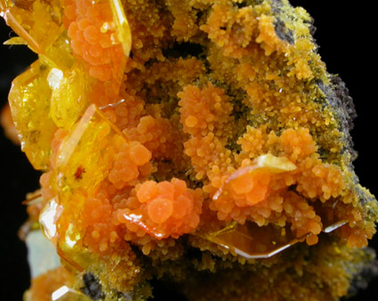 Wulfenite and Mimetite from San Francisco Mine, Cucurpe, Mexico